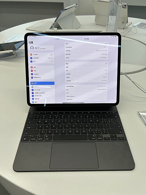 iPad Pro 13" (M4, 2024)