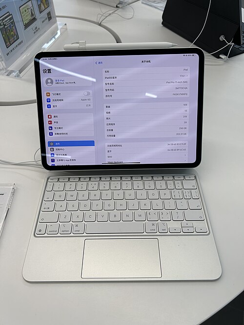 iPad Pro 11" (M4, 2024)